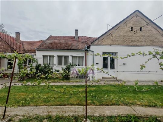 Bezdan – renovirana nameštena kuća 163m² sa voćnja