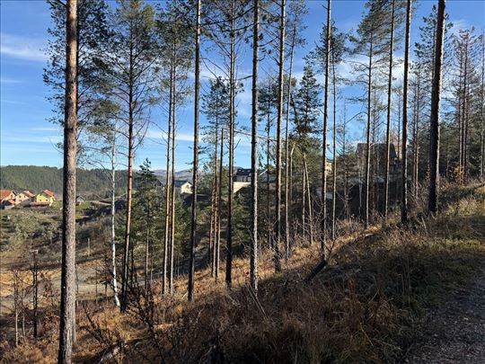Plac 10 ari- 3km od centra Zlatibora