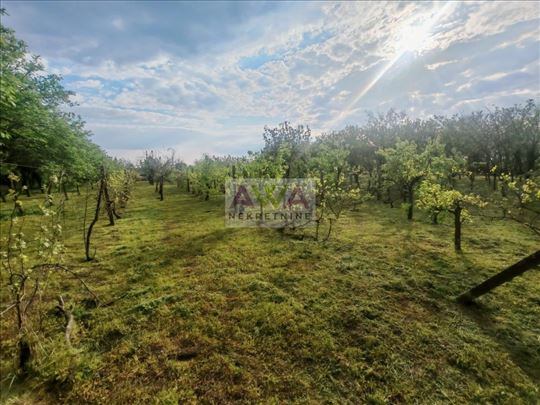 Sivac – Imanje sa vinogradom, voćnjakom i vinskim 