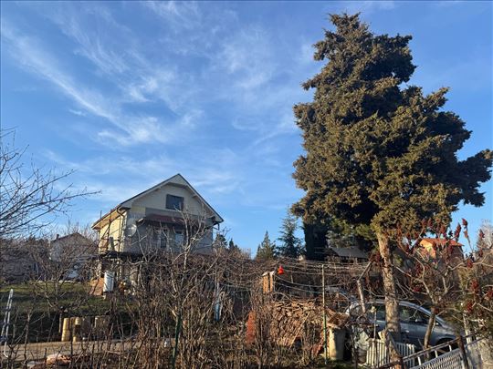 Trešnja124 m2 na 10 ari