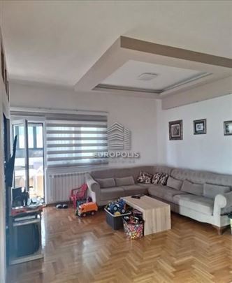 Jakova Galusa, Jajinci, Voždovac ID#9459