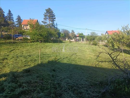 Vranić
