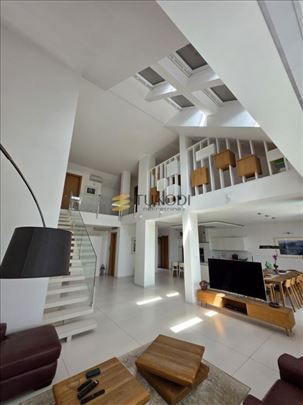 Duplex 292m2 + 60m2 Vase Stajića novogradnja