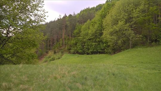 Plac za gradnju sa građ.dozvolom, Goč, izletiš