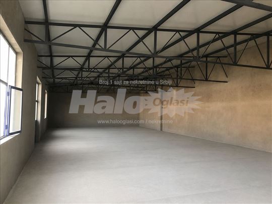 Izdajem halu 250m2 Batajnica