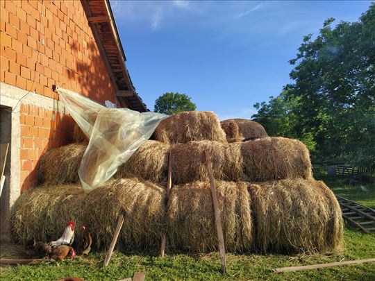 Rolovane bale 120x120