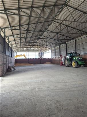 Irig, Izdavanje Hale, Bruto 1000m2, Industrijska Z