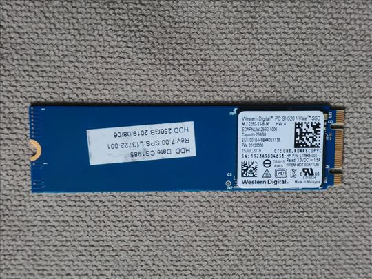 Western Digital PC SN520 256GB SSD dostupan odmah