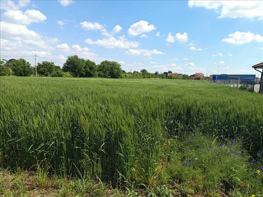 Industrija zona Dobanovci, građevinsko zemljište