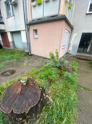 Izdavanje Kotež