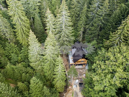 Kopaonik LUX brvnara u šumi kraj reke