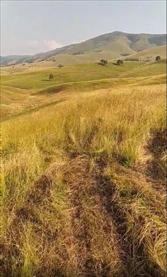 Zlatibor, Gajevi, Zemljište, 1331ar