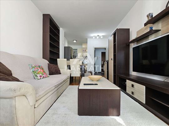 Izdaje se stan, 45m2, Centar 3