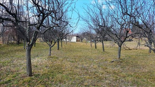 Plac kod Hopova u građevinskoj zoni, Irig
