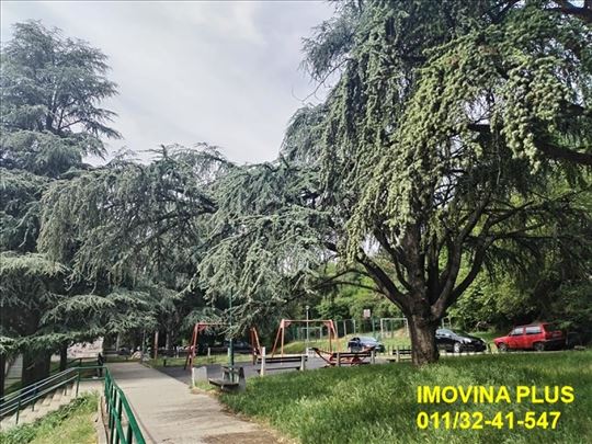 Čukarica, Julino brdo - Marine Veličković, 75m2
