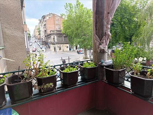 Lep salonac na sjajnoj lokaciji