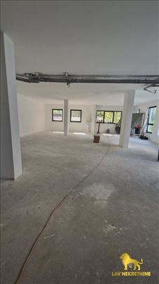 Novi Sad, Petrovaradin, Lokal, 1, 118,00m2