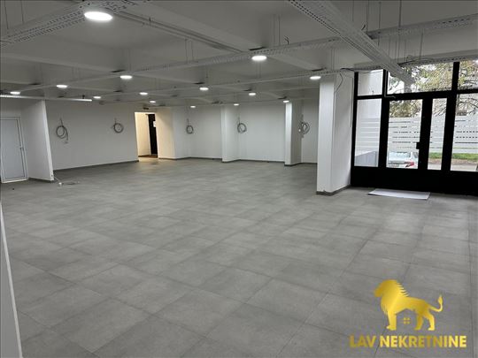 Sremska Kamenica, Institut, Lokal, 3, 251,00m2