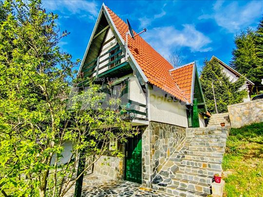 Kuća 100m2, sa dvorištem, Kopaonik