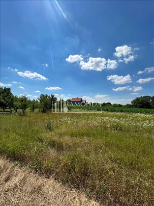 Prodaja, Odlican plac, 5ari, blizina Dunava ID#66