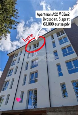 Apartmani u borovoj šumi