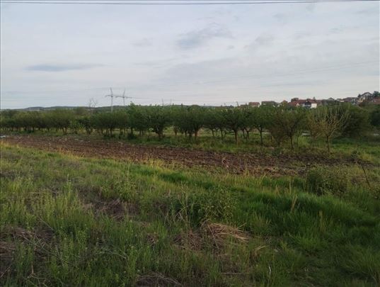 Odlican plac u Lestanima