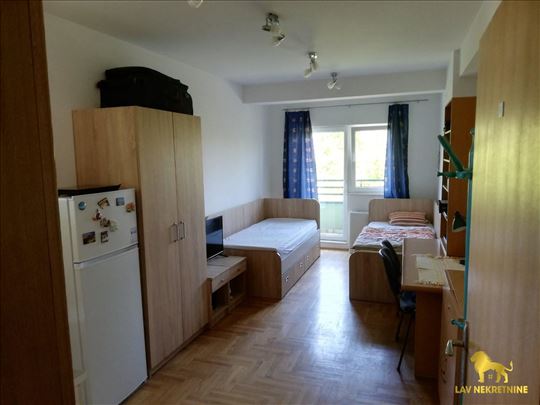 Novi Sad, Bulevar Evrope, Stan, 0.5, 20,00m2