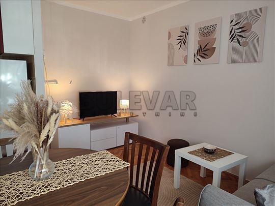 Izdaje se jednosoban stan, Park Sv.Save, 45m2, gre