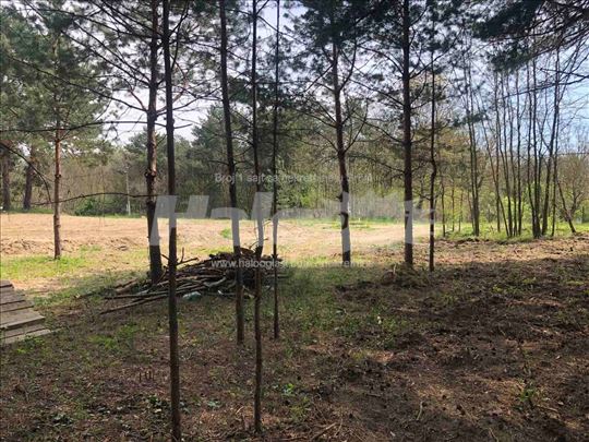 Plac u Kajtasovu - odlična ponuda