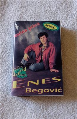 Enes Begović, Fahro Džavid Band – Noćna Ptica
