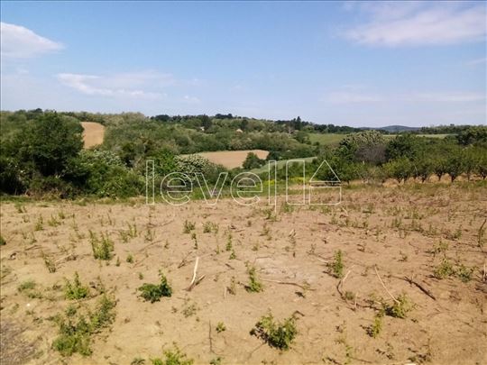 Plac,Irig,Širi Centar,kv: 1770.00