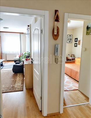Stan,Novi Sad,Bulevar Patrijarha Pavla,kv: 45.00