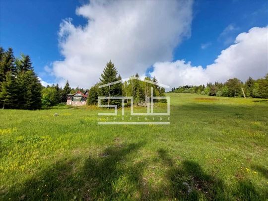 Uknjižen plac na Tari, Prodaja! ID#1571