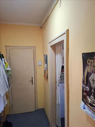 Jednosoban stan u Nikole Pasica