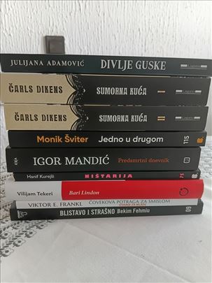 Erlend Lu, Lindon, Dazai, Dikens... veoma povoljno