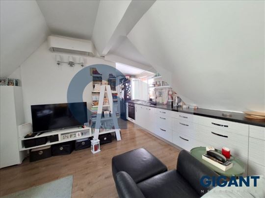 Kod Kluza, 50m2, dvosoban, namešten, renoviran