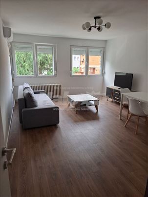 Zarkovo 2.0 46m2