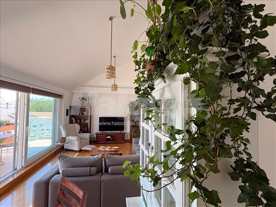 Prelep duplex u Zemunu