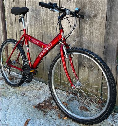 Capriolo Ytrack servisiran mtb bicikl 3x6