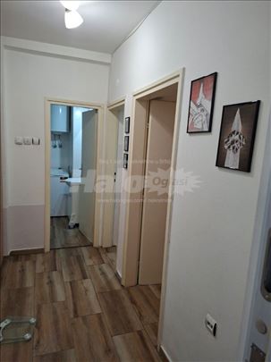 Izdavanje stana na Novom Beogradu