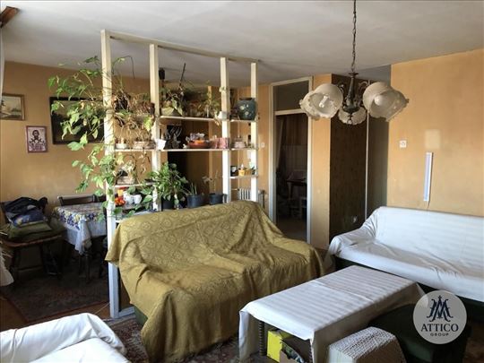 Porodičan stan za renoviranje na Limanu Iv – 80m²,