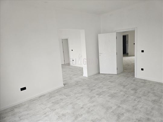 Vračar, salonac, Pravni fakultet