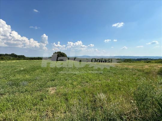 Zemljiste
