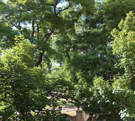 S pogledom na park 3.0, 80m² - С видом на парк