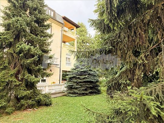 Dedinje, Ružičeva ulica