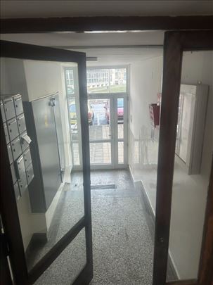 Loznica kod biblioteke