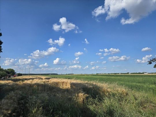 Boljevci, odlična investicija