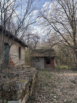Mala kuća u šumskom kraju