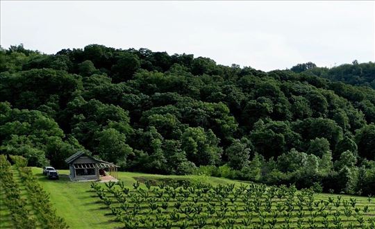 Imanje za uživanje 4,3ha u lovištu, 30 min od BG