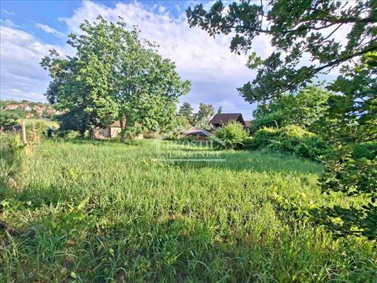 Smederevo - Leštar - 161m2+12.74ari ID#25296